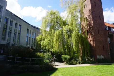 ProSenis GmbH Altstadtresidenz
