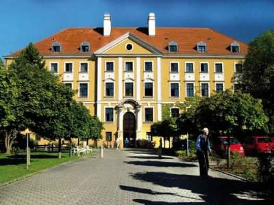Sander-Stift