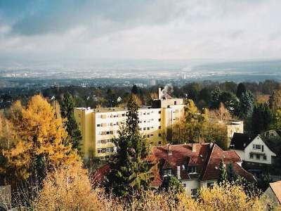 Das Luisenhaus und der angrenzende Naturpark Habichtwald