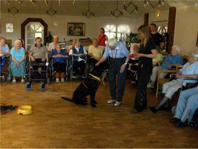 Tiertherapeutische Stunde im Tannenhof