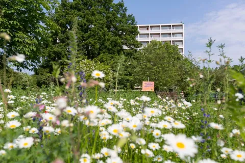 ProSENIS Blindenwohnheim Wilhelm-Marhauer-Haus Behinderteneinrichtung