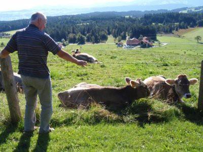 Das Haus Alpenpanorama ist umgeben von viel Grün