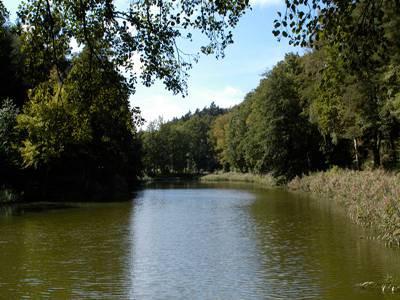 - idyllisch in der Nähe der Schwarzweiher, wo die Bewohner gerne spazieren gehen
