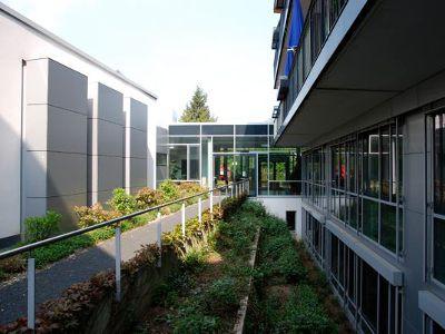 Moderne, klare Linien und hohe Fenster machen das Haus hell und freundlich