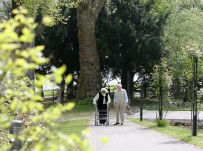 Die Gebäude liegen wunderschön in einem Parkgelände an der Rheinpromenade