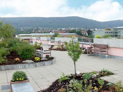 Die Dachterrasse mit Ausblick auf die Umgebung