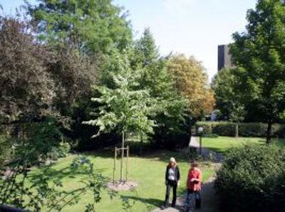 Der Garten des Altenheim Pflegeheim Pflegezentrum für Seniorinnen Marienstraße in Hannover