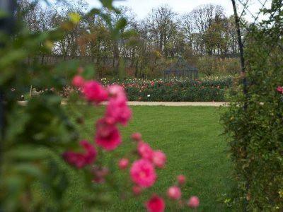 Der Magdalenengarten des Caritas Senioren- und Pflegeheim Magdalenenhof in Hildesheim