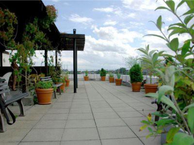 Von der Dachterrasse aus haben die Bewohner einen tollen Blick über die Stadt