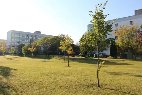Barrierefreie Seniorenwohnungen in Döbeln Ost