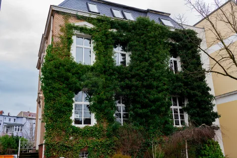 Demenz-WG Spatzennest